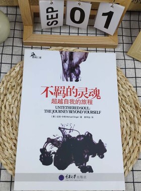 全新正版存在主义实践不羁的灵魂超越自我的旅程海德格尔视角下的自由与觉醒对抗虚无重构价值成为独特个体高知青年必读心理大学