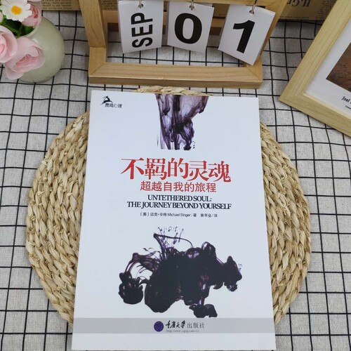 全新正版存在主义实践不羁的灵魂超越自我的旅程海德格尔视角下的自由与觉醒对抗虚无重构价值成为独特个体高知青年必读心理大学