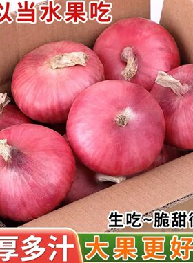 2026新鲜紫皮水果洋葱脆嫩时令蔬菜当季扁葱生吃脆甜批发自提种植