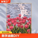 郁金香数字油画diy填色画填充艺术感风景花卉手工丙烯手绘绘画