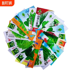 四季 蔬菜种子红秋葵香菜青菜生菜白菜番茄茄子菠菜空心菜玉米草莓
