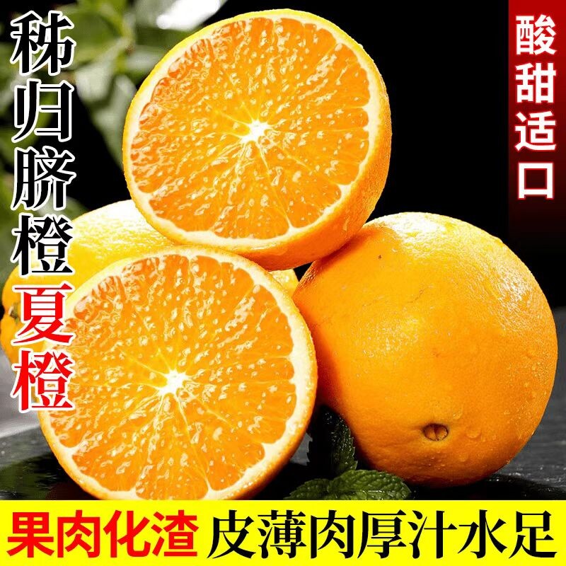 正宗秭归橙子夏橙脐橙新鲜当季水果手剥果冻冰糖甜橙大果整箱包邮图片