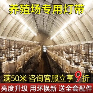 led灯带养殖场专用户外防水220v超亮鸡舍工程工地隧道亮化照明灯