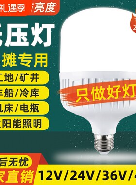 LED低压灯节能灯E27螺口电瓶