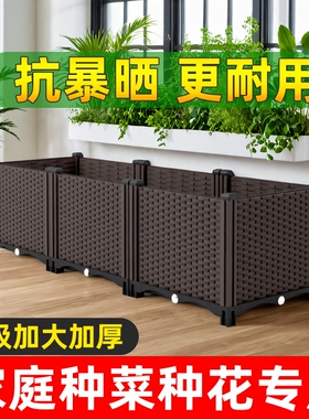 塑料特大花箱|超3000次加购