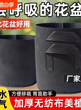美植袋加厚黑色加固提手植物种植袋无纺布植树袋种树专用盆