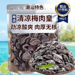 潮汕风味清凉梅肉皇无核雪花劲凉薄荷九制梅肉果脯果干解馋小零食