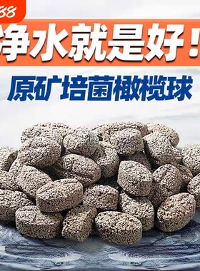 鱼缸过滤材料细菌屋滤材火山石陶瓷环用过滤器橄榄球生化净水生态