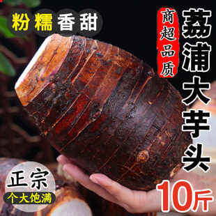 牛奶芋头新鲜小芋头小毛芋艿新鲜农家自种小毛芋现挖5斤 包邮