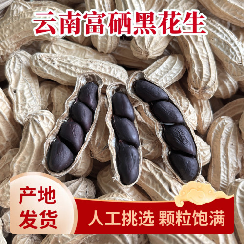 2026新货云南黑皮花生黑花生富硒普洱晒干带壳花生米种大颗粒区别