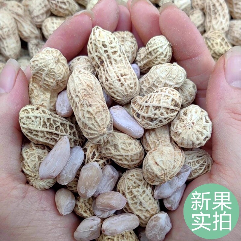 龙岩花生蒜香五香原味盐水白晒咸干水煮花生米带壳炒货晒干新鲜