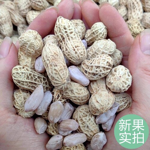 龙岩花生蒜香五香原味盐水白晒咸干水煮花生米带壳炒货晒干新鲜