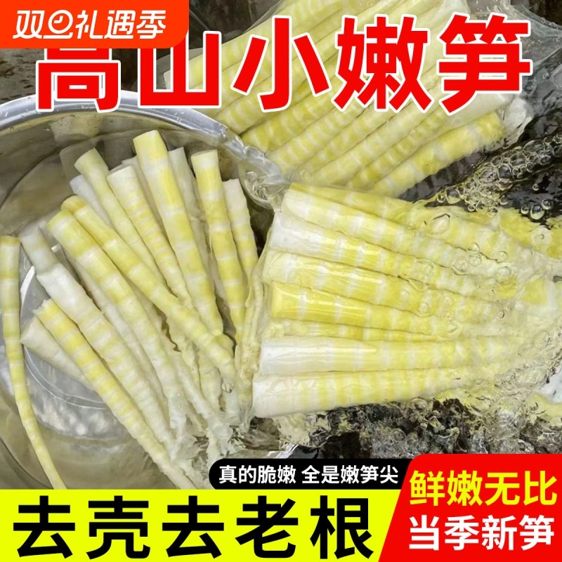 高山小竹笋尖新鲜春笋罗汉笋野生嫩笋尖火锅笋子干方竹笋商用袋装