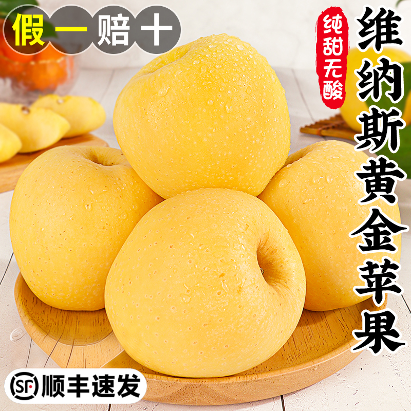 正宗山东维纳斯黄金苹果新鲜水果现摘脆甜多汁非奶油富士苹果整箱
