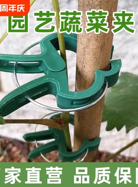 爬藤植物固定夹大号绿色卡扣蔬菜番茄花卉瓜果枝条藤蔓固定夹扣子
