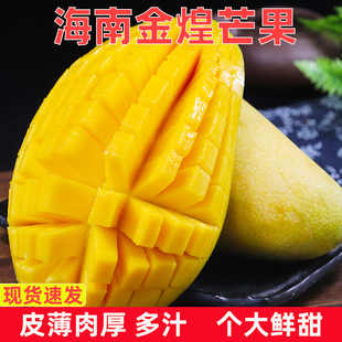 新鲜现摘金煌芒果水仙芒应季水果海南特产10大芒果新鲜整箱当季