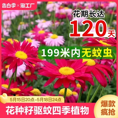 200米内无蚊虫夏天告别蚊虫叮咬