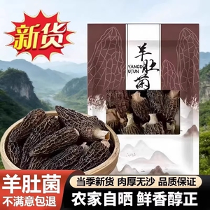 果官宣精选羊肚菌头茬正品新鲜煲汤滋补食材炖汤干货无干燥剂