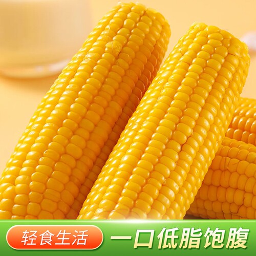 东北黄糯玉米真空包装