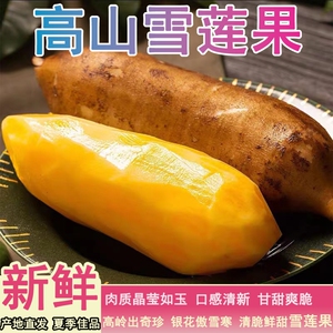 天山雪莲果新鲜水果应当季云南孕妇红心雪连果黄心特整箱直发