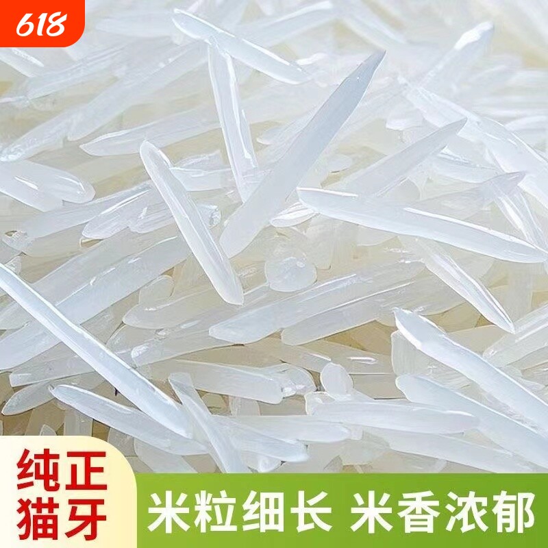 猫牙米一级大米新米广西寿乡丝苗米籼米长粒香米10斤梯田年货普通