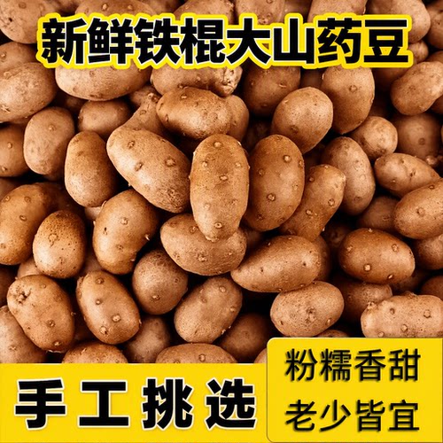 农家种植人工采摘铁棍山药豆山药蛋新鲜山药豆粉糯面中豆产地直发