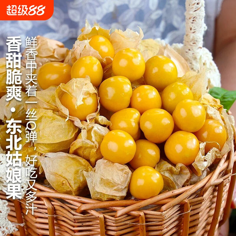 新鲜姑娘果5斤新鲜现摘黄菇娘果灯笼果东北特产水果当季整箱孤鸟图片