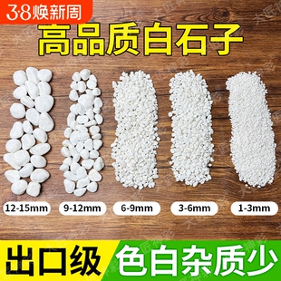 小白石子铺面石白石头庭院造景原石鹅卵石雨花石盆栽鱼缸底砂多肉