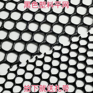 小孔黑色塑料网养殖网阳台防护网防猫封窗网格围栏防掉东西阳台网