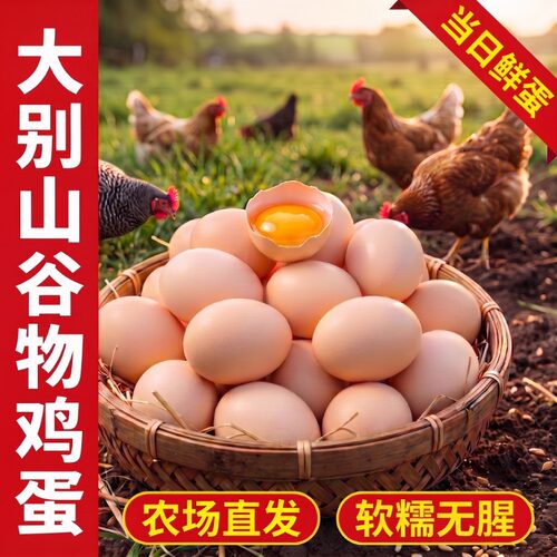 农家土鸡蛋鲜鸡蛋散养正宗柴鸡蛋谷物新鲜大鸡蛋农场农村普通五谷