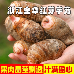 浙江金华正宗红芽芋头新鲜现挖红牙头芋艿仔粉软糯香小香芋5斤3斤