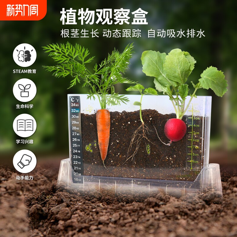 阳光房种植儿童科学小实验套装种菜植物生长观察盒玩具男女孩礼物