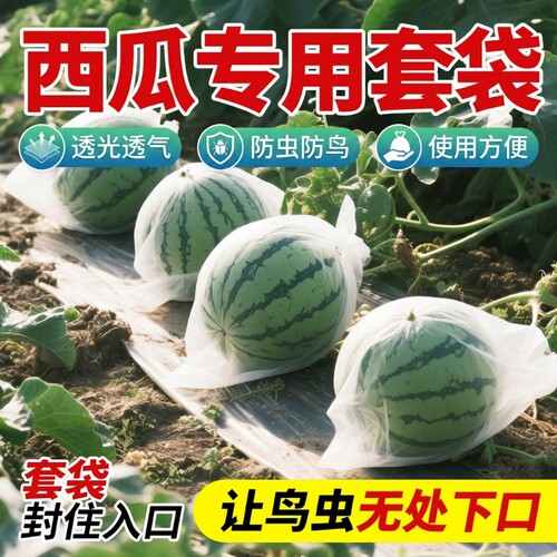 领沃西瓜套袋瓜果防虫防鸟防果蝇