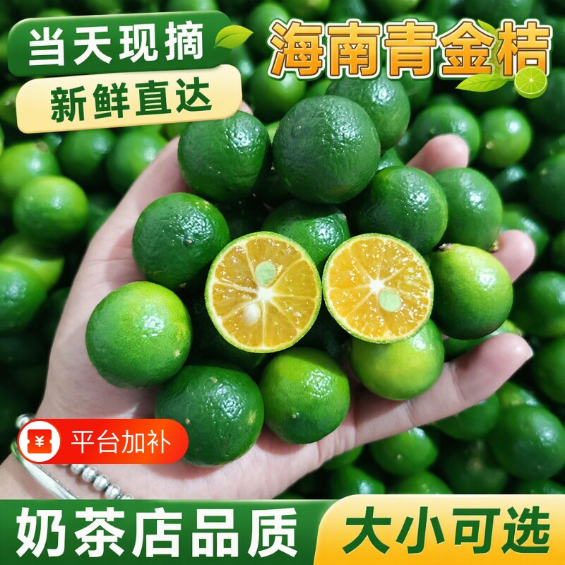 新鲜海南青金桔小青柠小青桔小金桔柠檬奶茶店专用整件当季水果