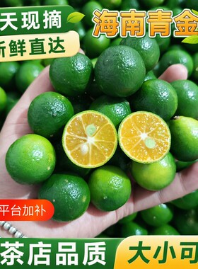 海南青金桔新鲜一级果