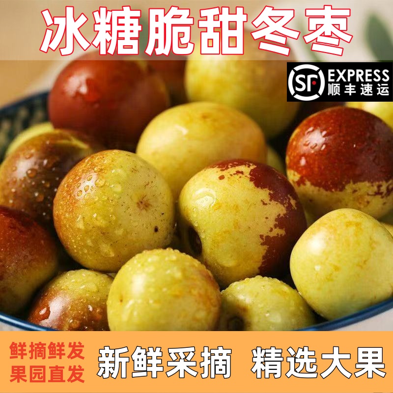 顺丰包邮正宗冬枣新鲜大果应季整箱枣子现摘脆枣冰糖大枣当季水果