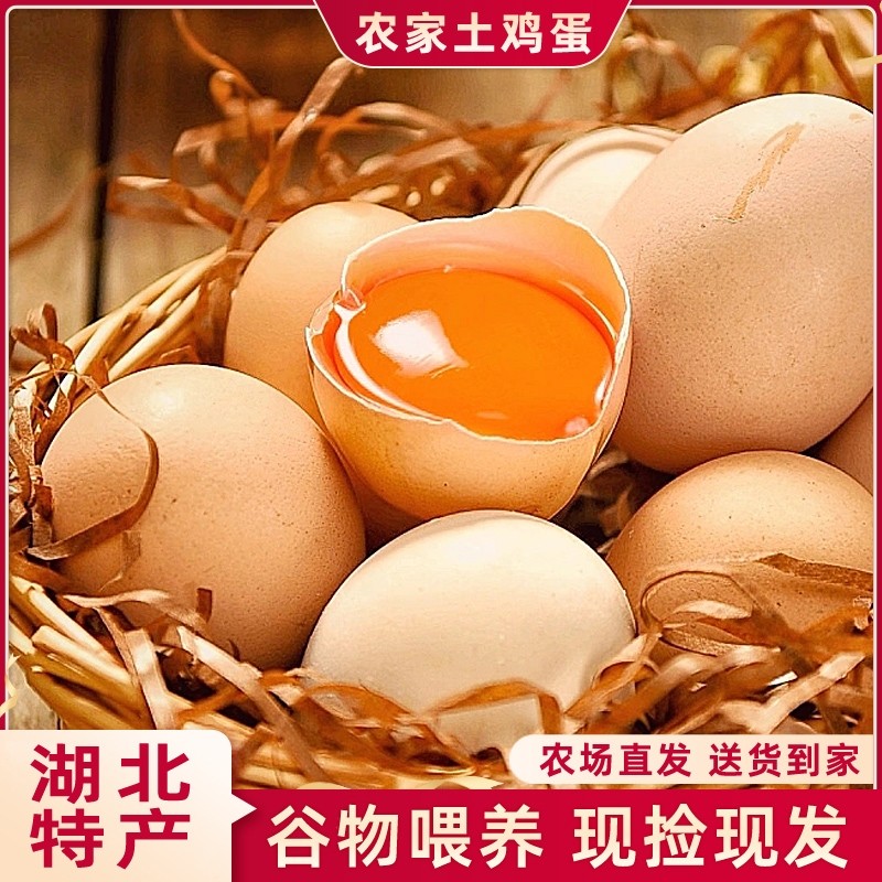 湖北土鸡蛋农家散养40枚儿童宝宝山林跑山鸡蛋鲜蛋农场谷物喂养