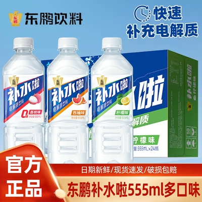东鹏补水555ml瓶装电解质饮料