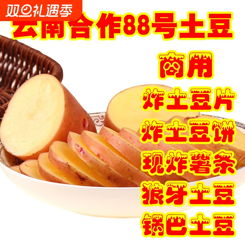 云南合作88号商用100/200斤炸薯条炸薯片炸土豆饼炸狼牙土豆