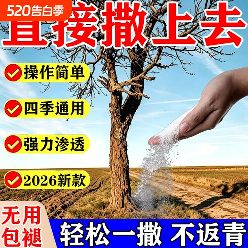 枯腐烂死根专用药腐蚀烂药木竹子木对专用强力枯腐灌木L大树杨树