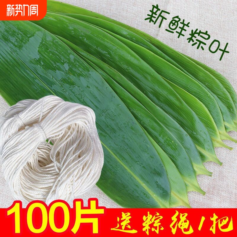 粽叶新鲜粽子叶大号包粽子专用大宽叶粽子叶子真空包粽子的叶子