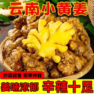 正宗农家新鲜小黄姜生姜干老姜嫩姜土姜子姜现挖高山沙姜5斤包邮