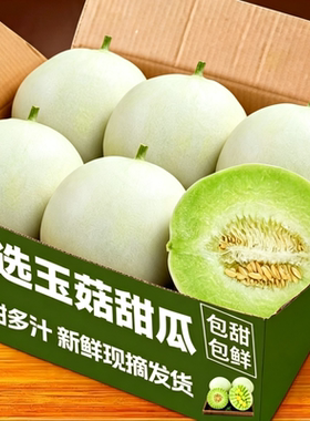 甜瓜新鲜玉菇甜瓜非羊角蜜博洋绿宝香瓜孕妇水果当季整箱冰淇淋