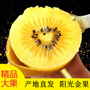 黄心猕猴桃奇异果新鲜包邮大果金果猴猕桃孕妇鲜果新鲜水果弥猴桃
