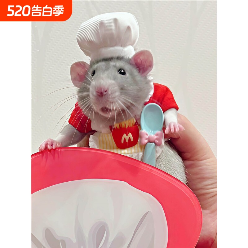 料理鼠王花枝鼠厨师帽仓鼠小衣服可爱小围裙拍照装扮2026新款造景