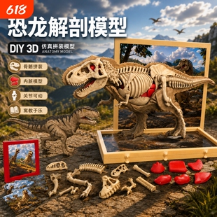 仿真恐龙霸王龙三角龙半骨架动物拼装模型DIY玩具3D立体摆件益智