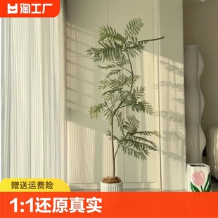 饰花大型落地盆栽树仿生假植物 蓝花楹仿真绿植高端轻奢室内客厅装