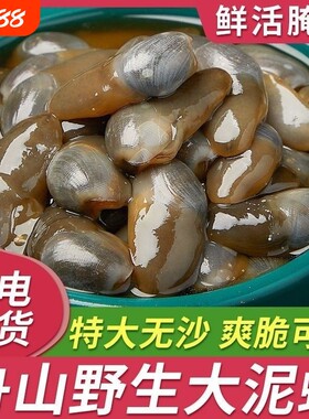 醉泥螺特大黄泥螺鲜活腌制潮汕生腌即食罐装舟山特产海鲜无沙新鲜
