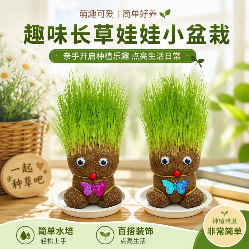趣味长草娃娃小盆栽草头娃娃猫草绿植儿童小植物幼儿园室内好养