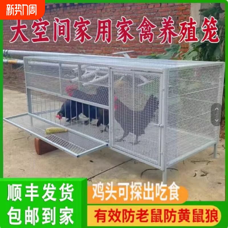 鸡笼家用室外饲养笼防鼠黄鼠狼防雨加密加厚鸭兔芦丁鸡养殖笼子